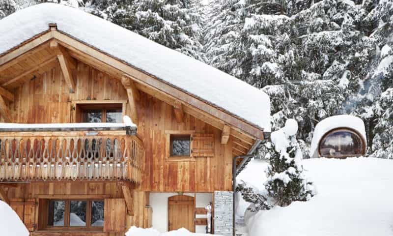 log-cabin-in-pine-forest