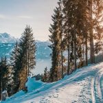 image of a sunny snow trail