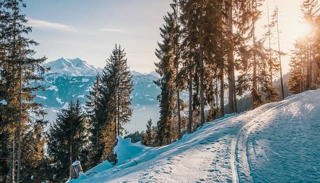 image of a sunny snow trail