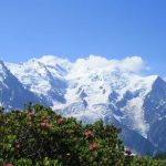 Image of Hiking Trail in Argentiere and Chamonix