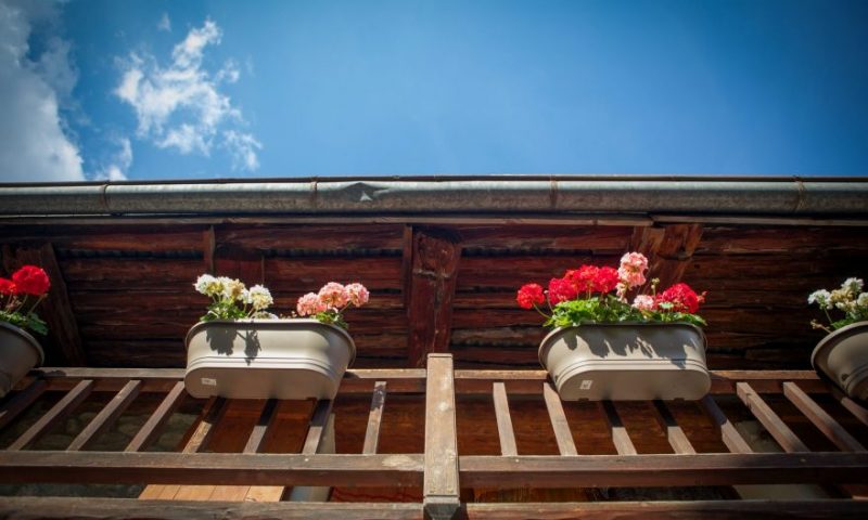 Front Door (2) - Balcony Flowers