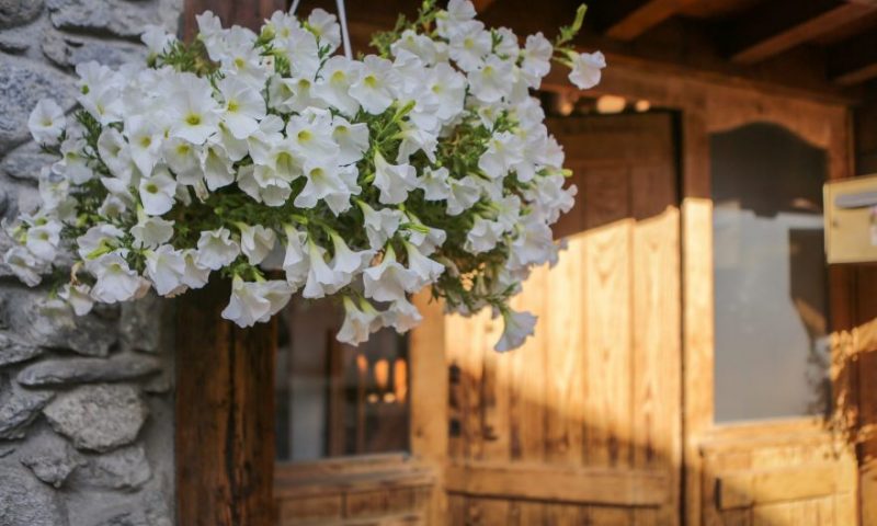 Front door (1) - with flowers